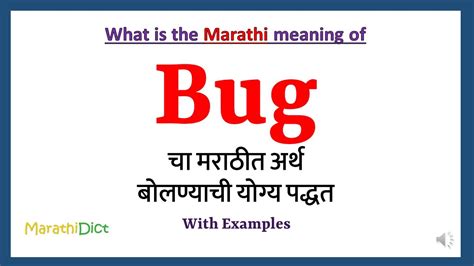 bugs meaning in marathi|bug meaning in Marathi .